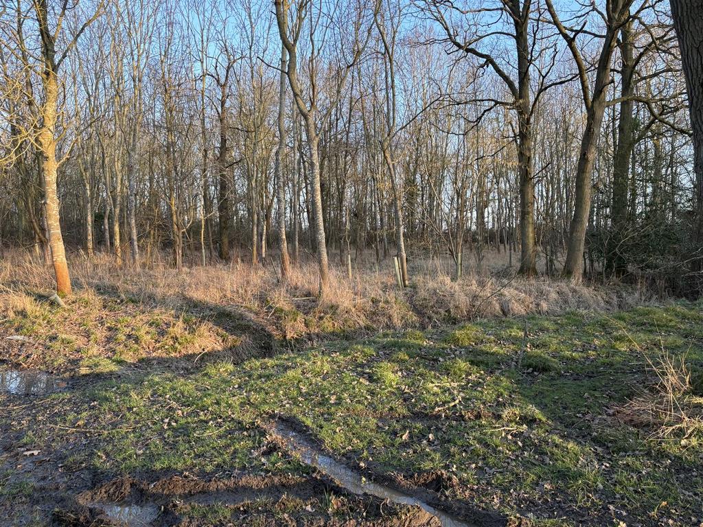 Img 8552.jpg