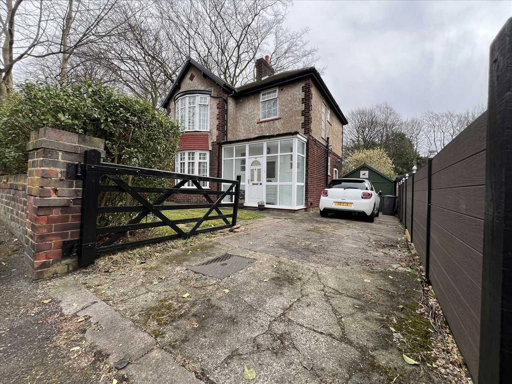 Main Picture