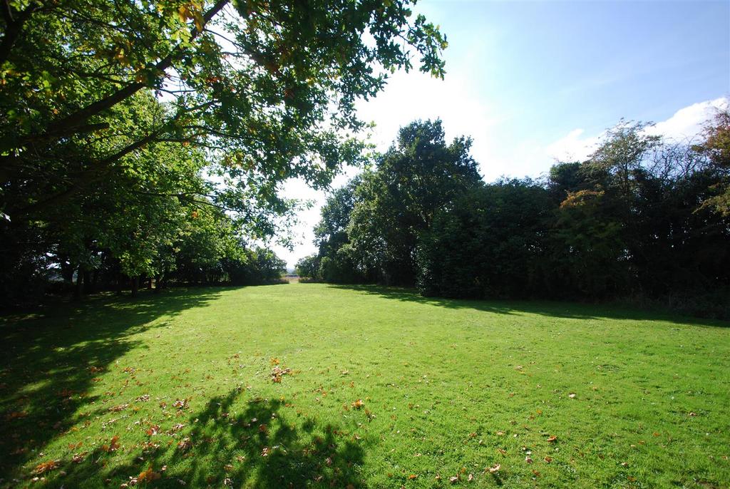 5c Paddock.jpg