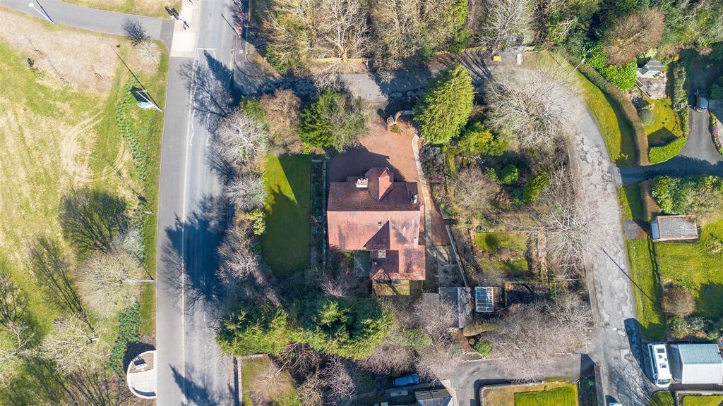 DJI 0441.jpg