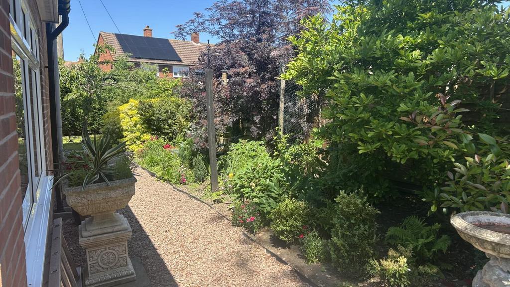 New Garden 4.jpg