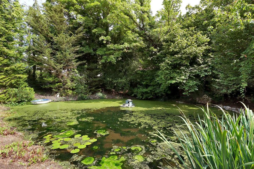 Natural Pond