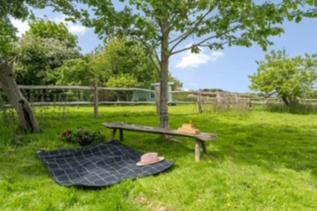 Garden 1