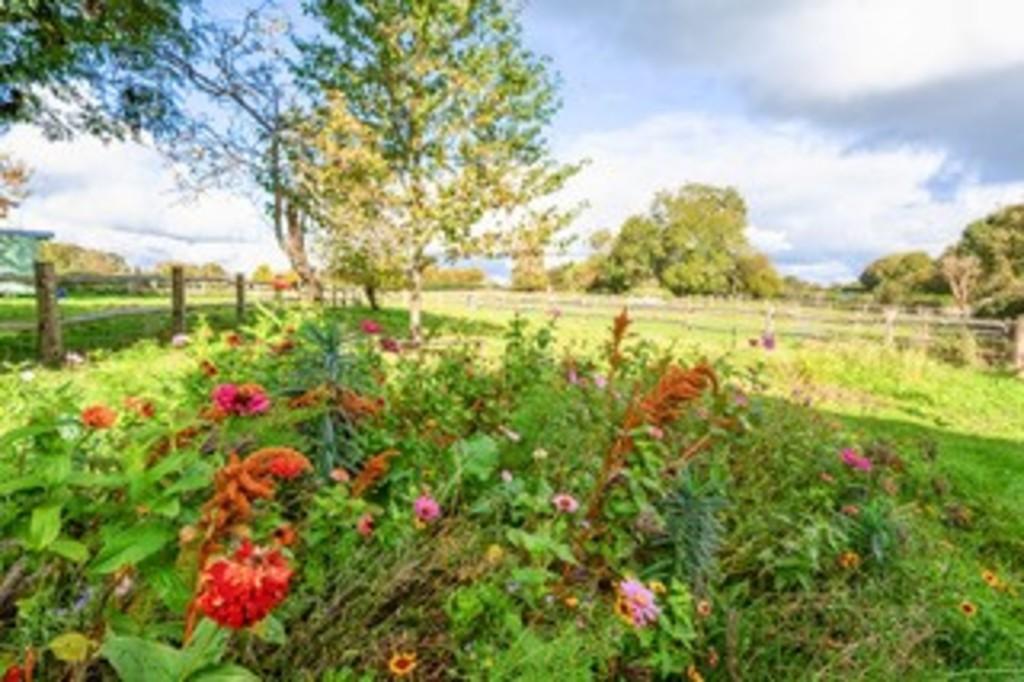 Garden 2