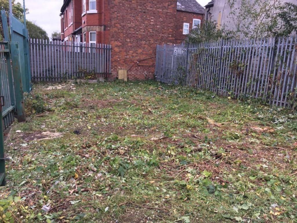 Image1 (1)