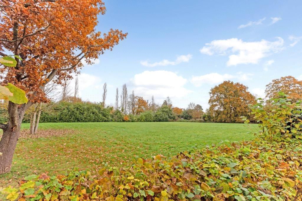 Communal Grounds