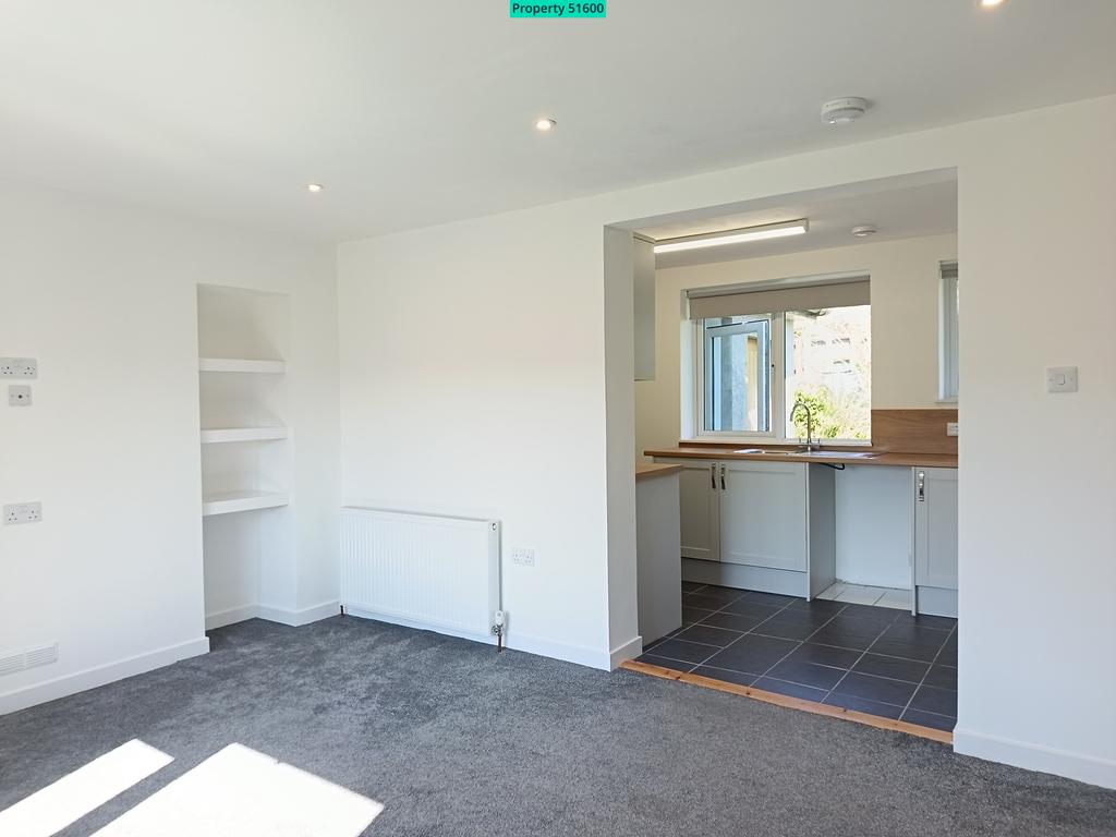 Open plan living and kitchen