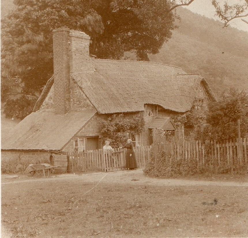 Picture No. 36