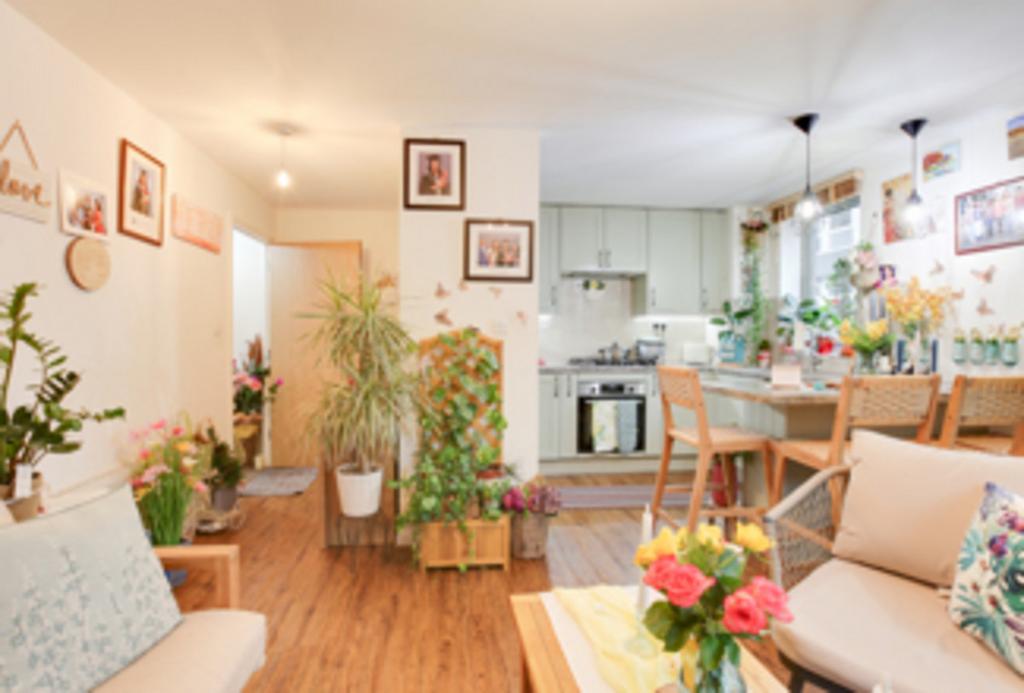 Open-plan living area, open plan living