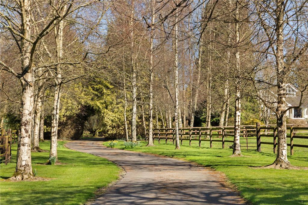 Highfield