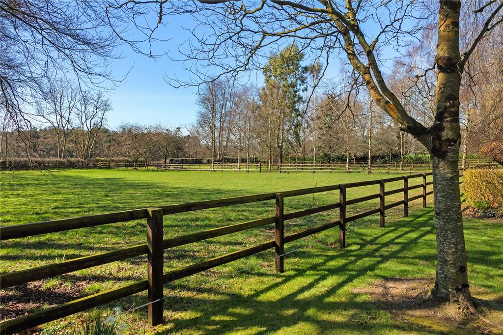 Highfield