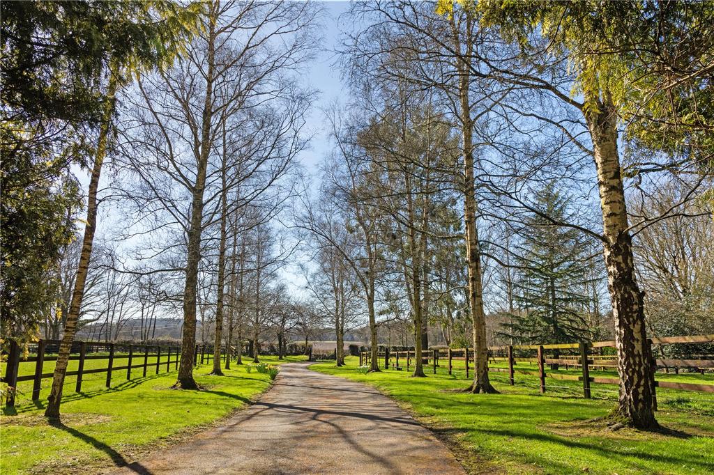 Highfield