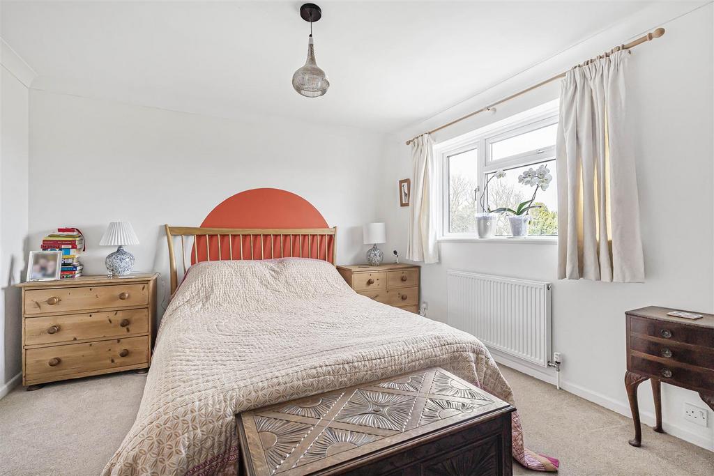 5 49519.jpg
