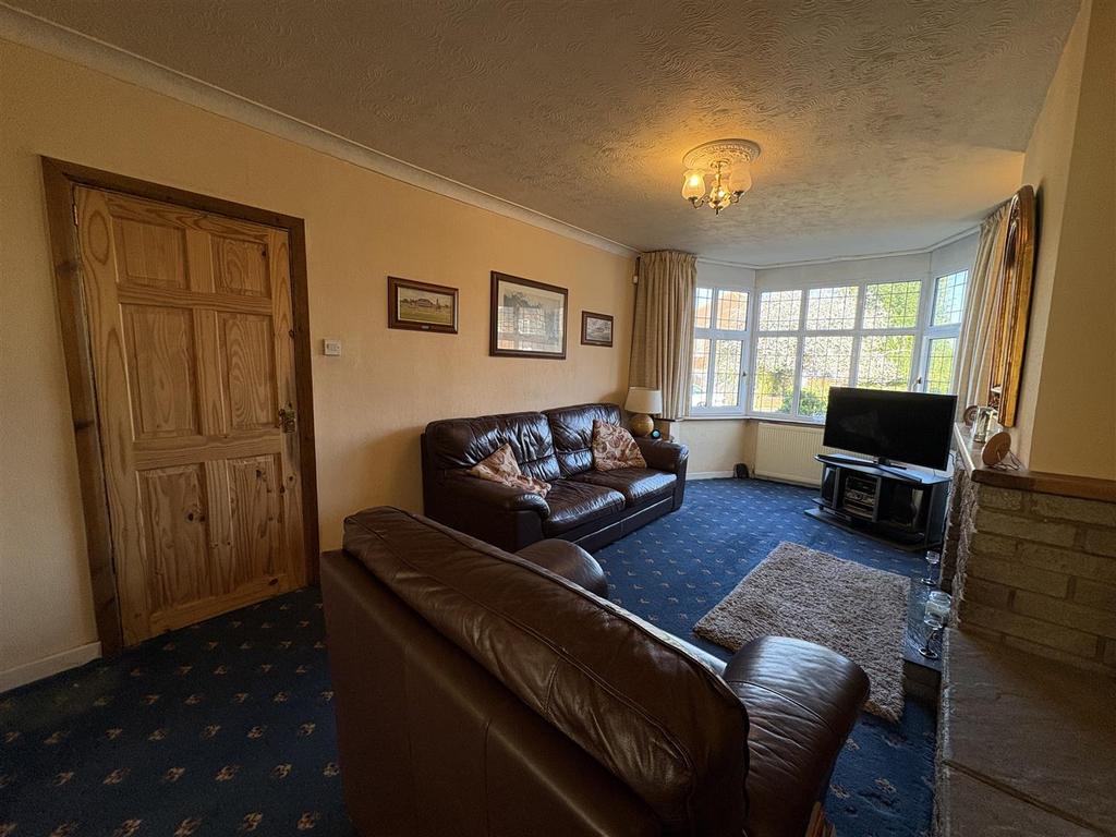 IMG 0803 (Large).jpeg