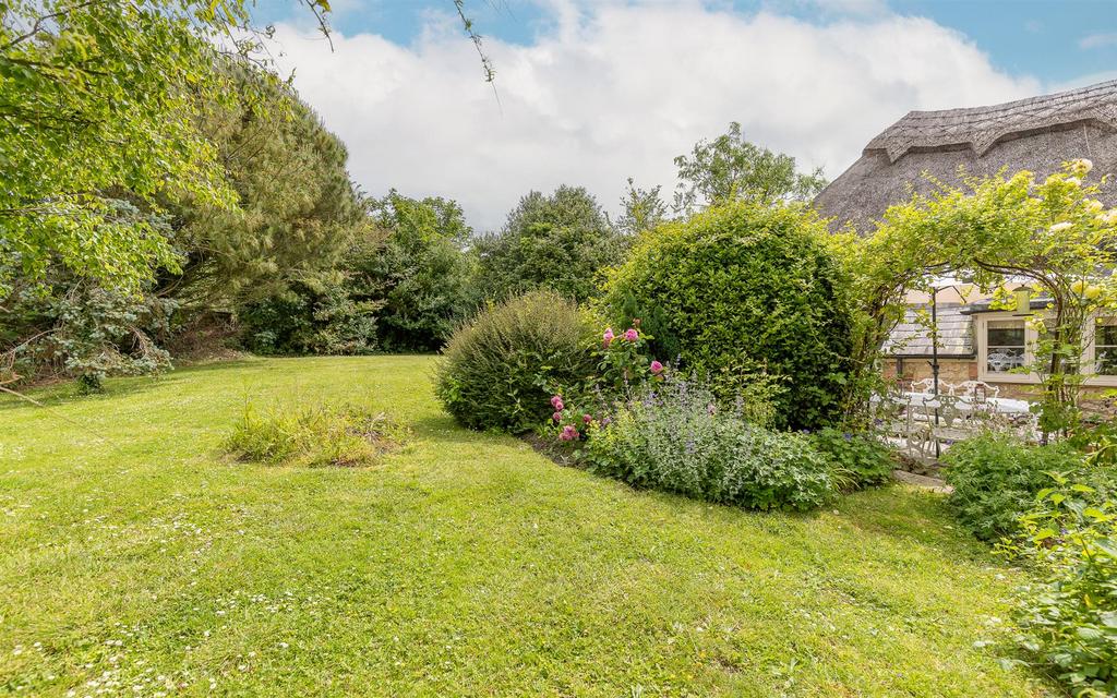 West Facing Garden