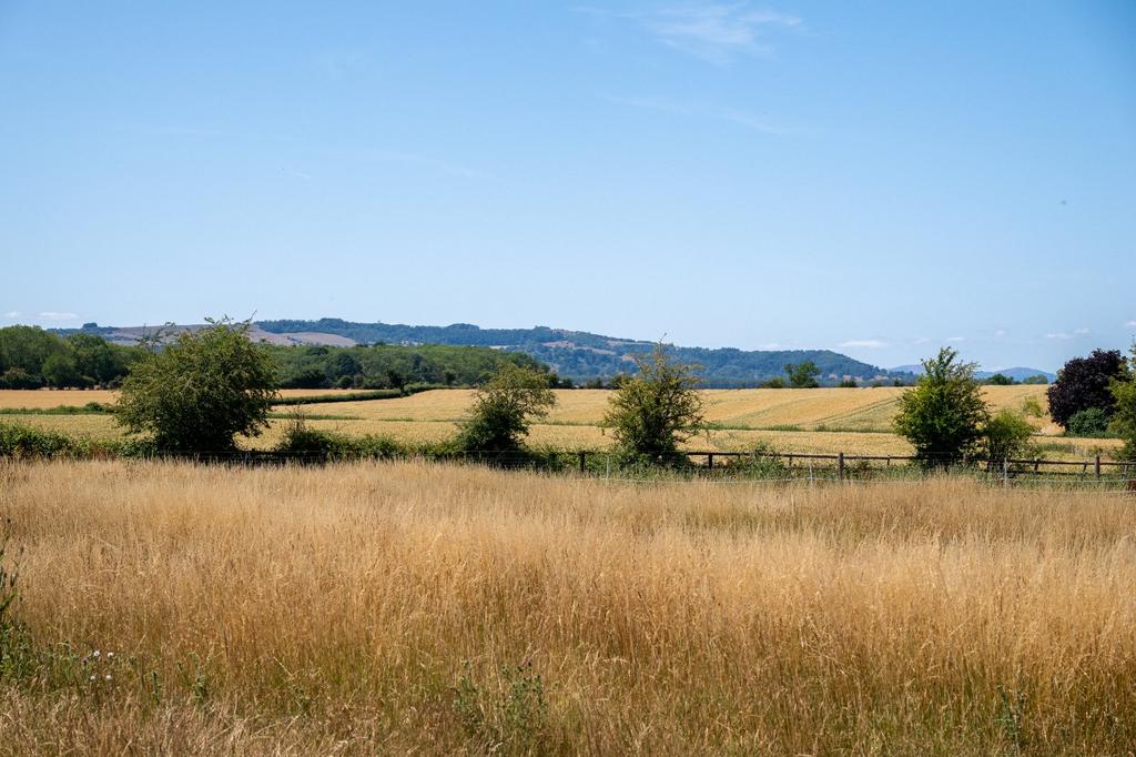 Land