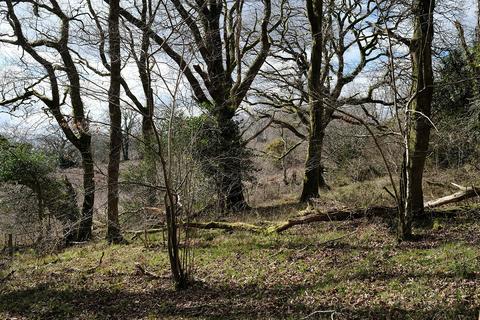 undefined, Button Lane, Bratton Fleming EX31