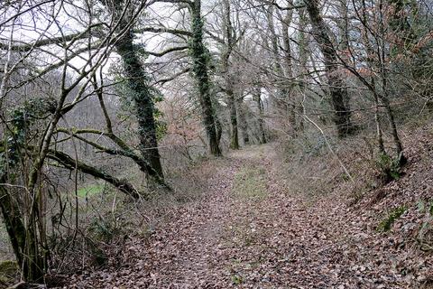 undefined, Button Lane, Bratton Fleming EX31