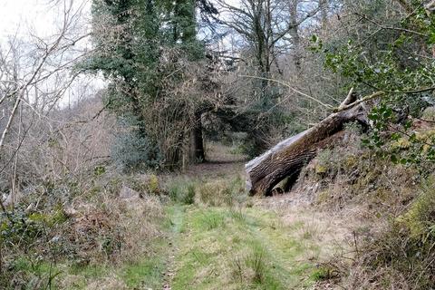 undefined, Button Lane, Bratton Fleming EX31