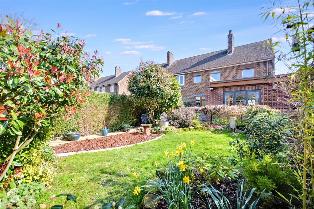 Garden 3.jpeg