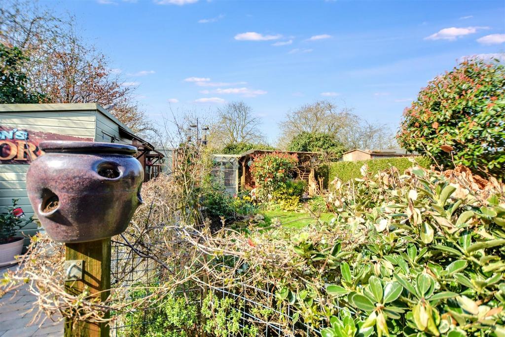 Garden 2.jpeg