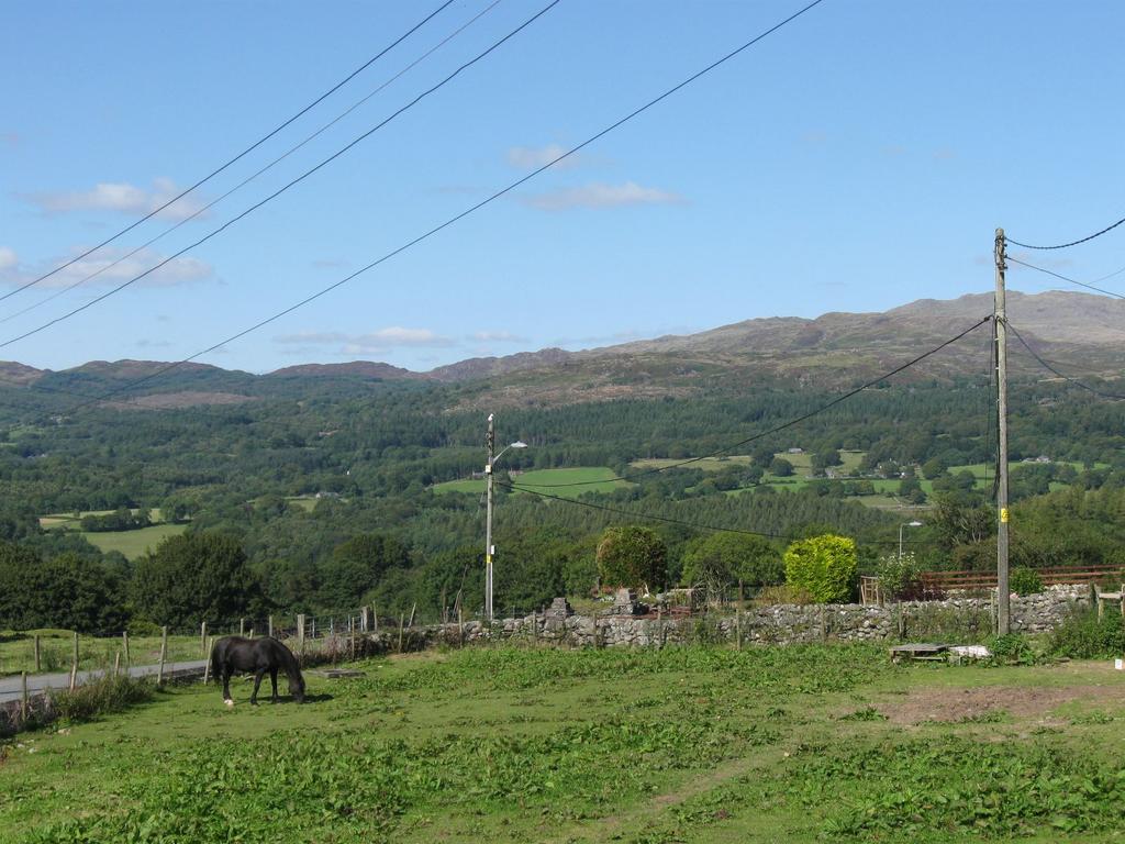 View from back.