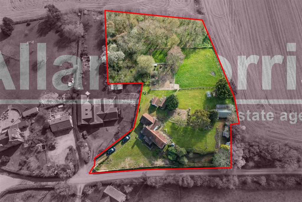 DJI 0255 .jpg