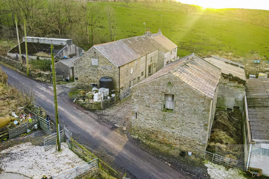 DJI 0677.jpg