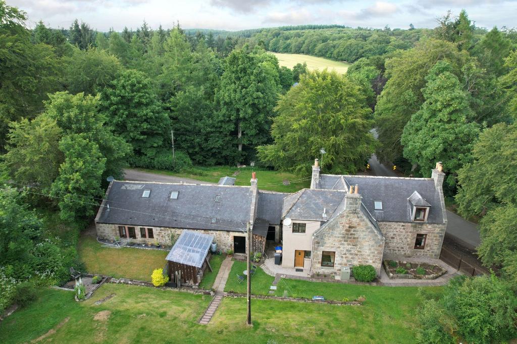 Aerial View Alt