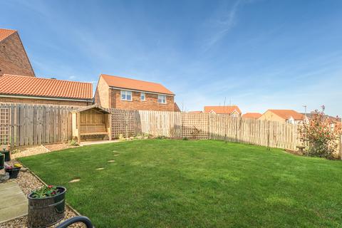 undefined, Swordy Park, Alnwick NE66