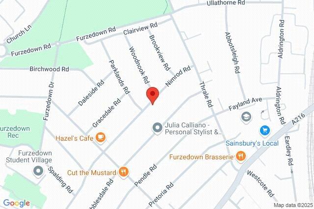 Google Maps Image