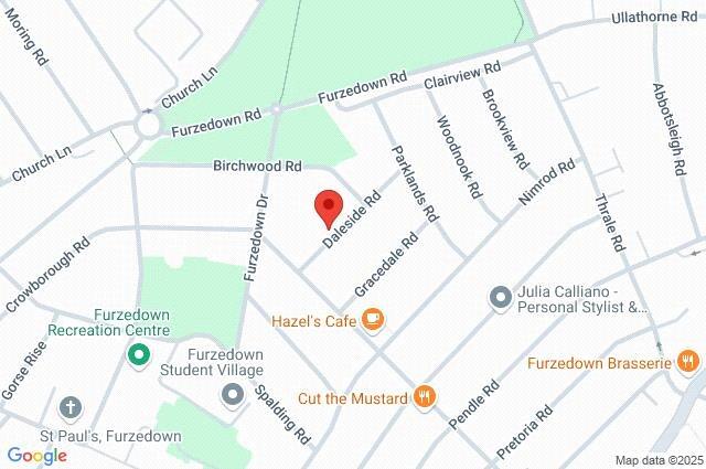 Google Maps Image