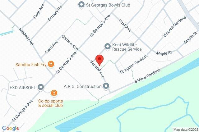 Google Maps Image