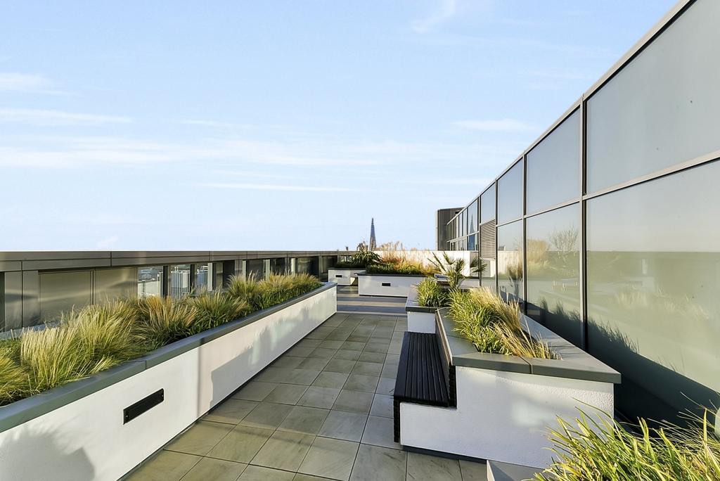 Roof Terrace