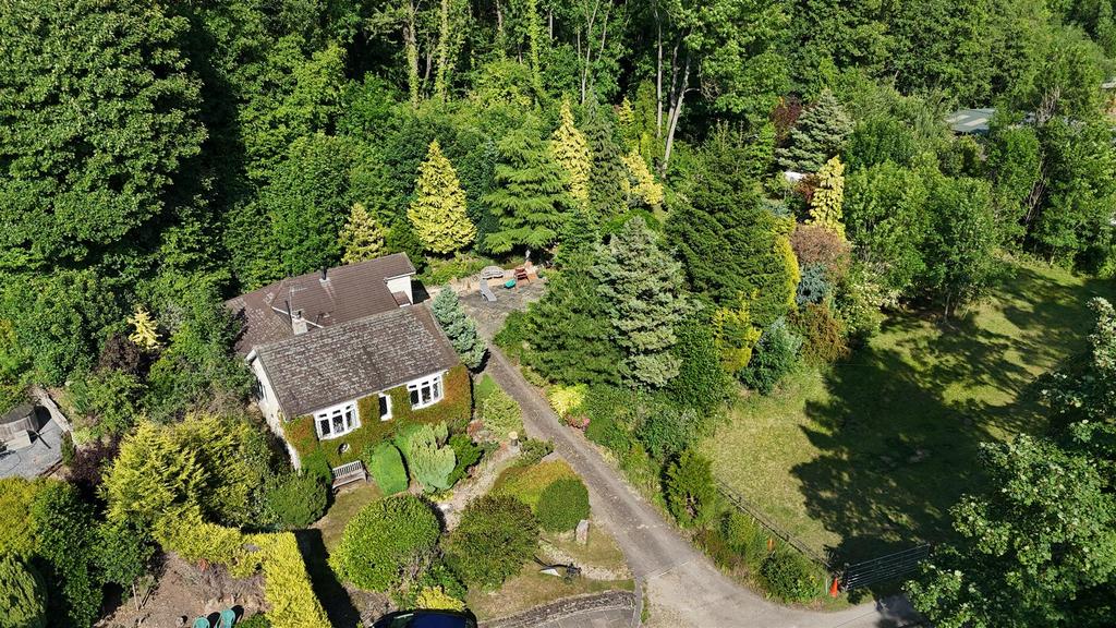 Dji 20250618170939 0800 d.jpg