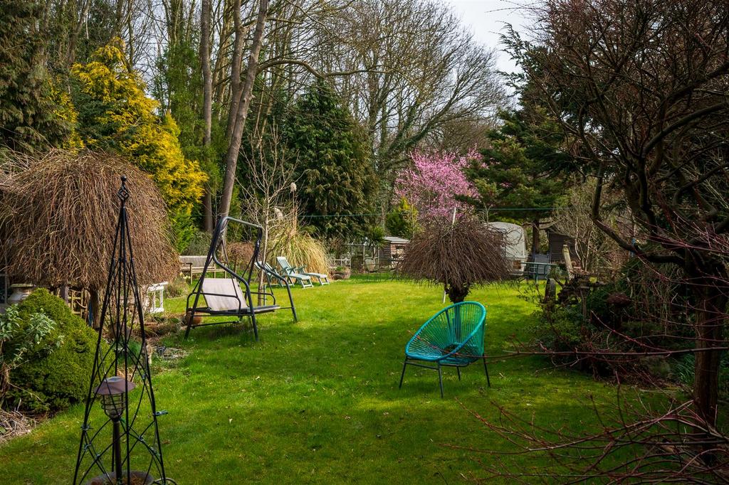 DSC 1654.jpg