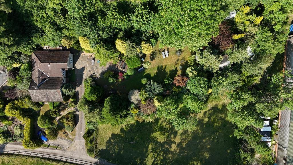 Dji 20250618171240 0806 d.jpg
