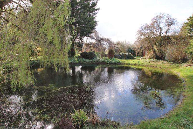 Pond ground level