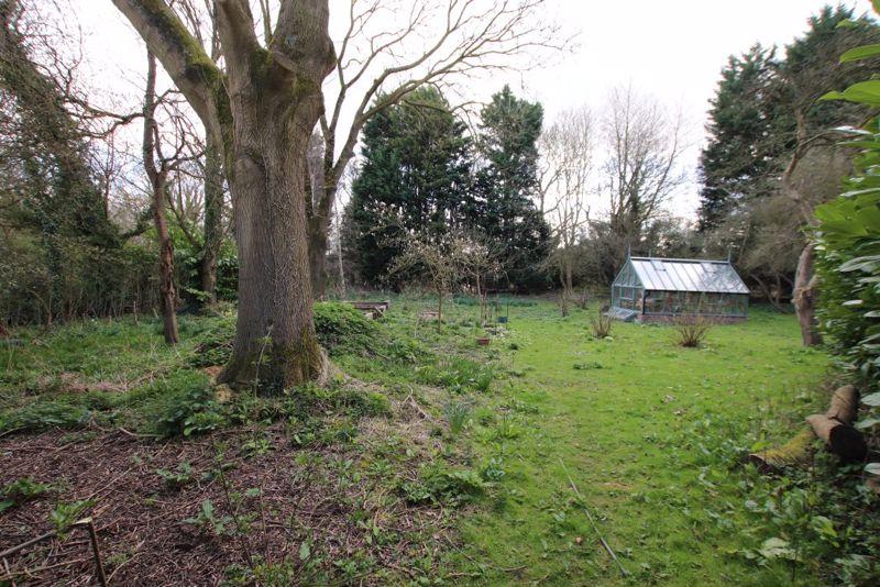 Veg garden and...