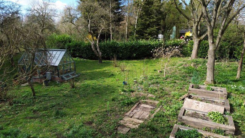 Greenhouse with veg