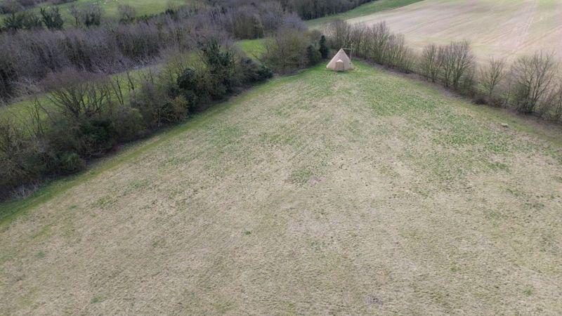 Main field photo 2