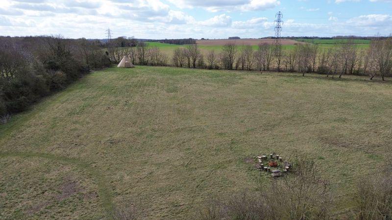 Main field photo 5