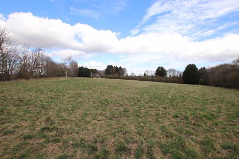 Main field photo 6
