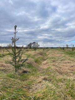 undefined, Harts Wood – 10.8 Acres