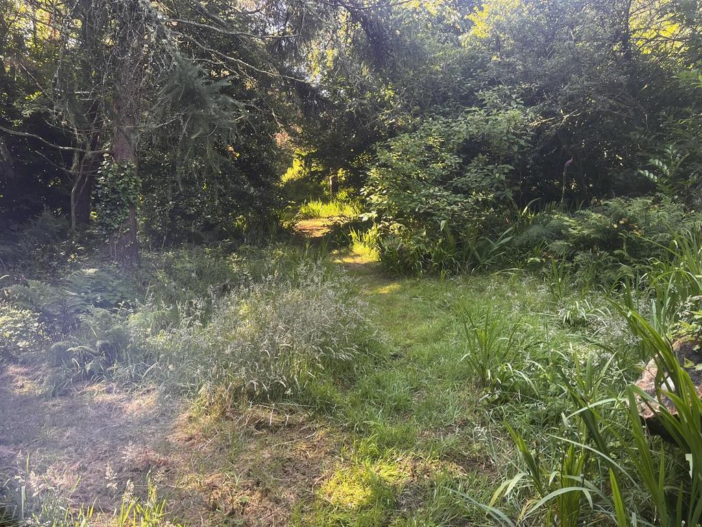 Img 1607.jpeg