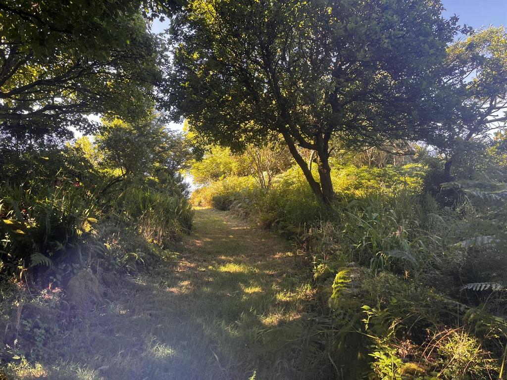 Img 1629.jpeg