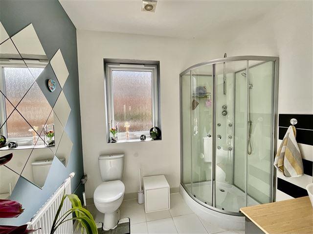 Downstairs Shower Room