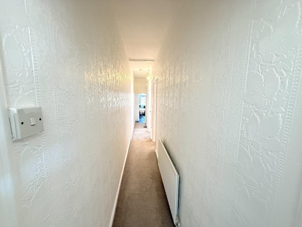 IMG 0102.jpeg