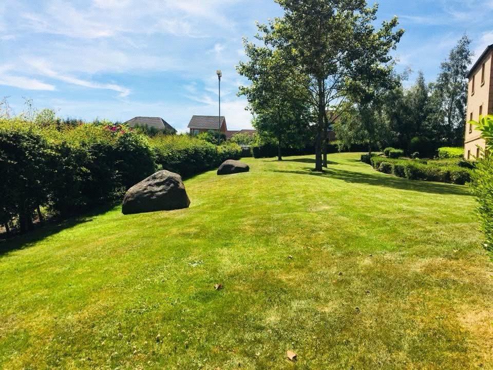 Communal Grounds