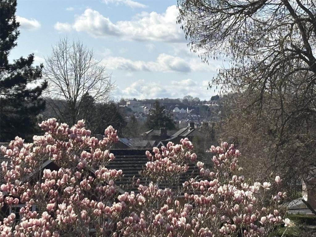 Views From Terrace